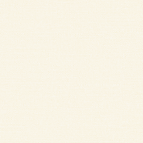 Изображение Alessandro Allori Bruni 1003-1