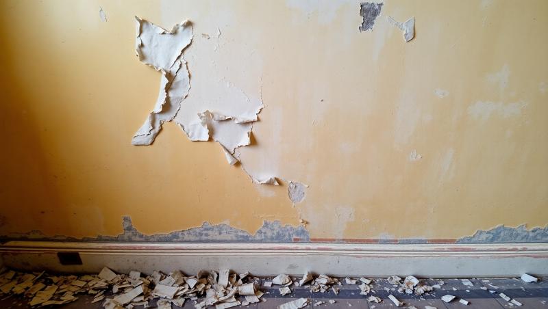 Как избавиться от плесени под обоями