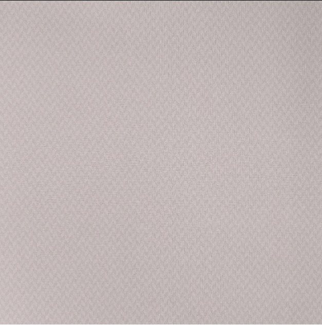 Изображение Alessandro Allori Росса 15017-1