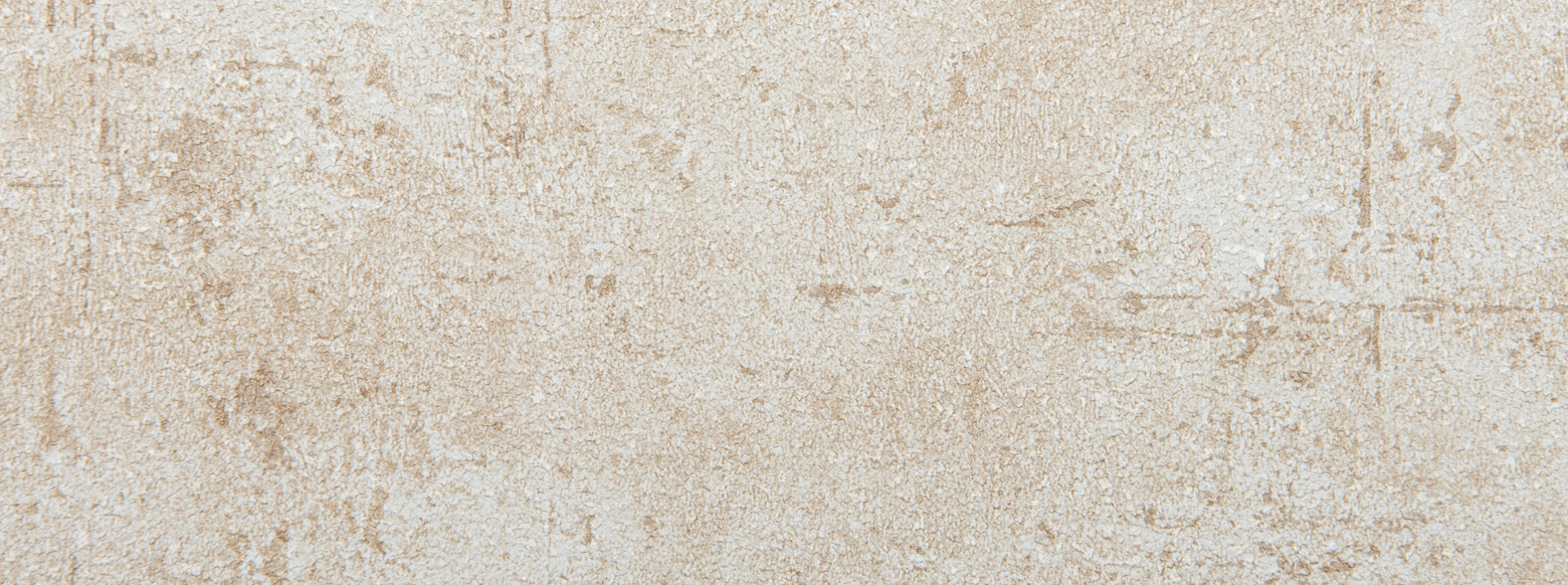 Изображение Alessandro Allori Rebecca 15005-5