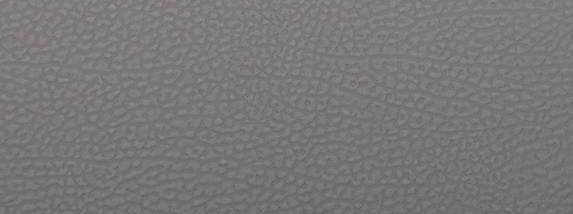 Изображение Rasch African Queen III 752649