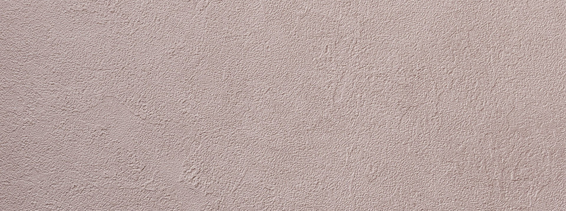 Изображение Alessandro Allori Bodega 2404-11