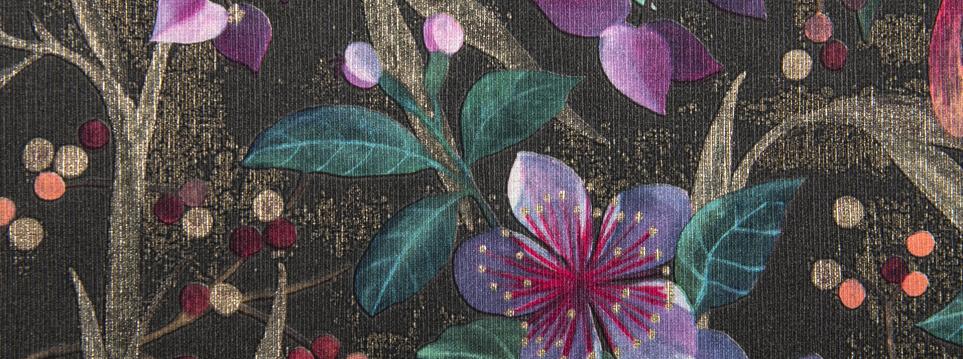 Изображение Rasch Curiosity 538236