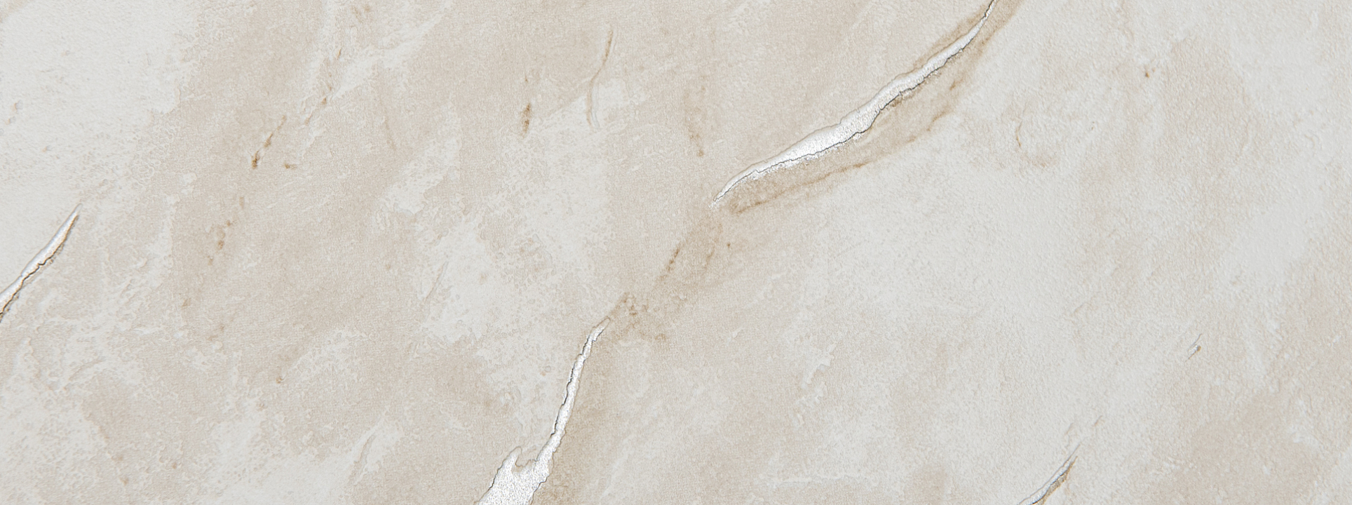 Изображение Alessandro Allori Rebecca 15010-5