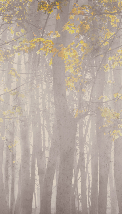 79226-2 Панно AS Creation 159*280, Лес на рассвете