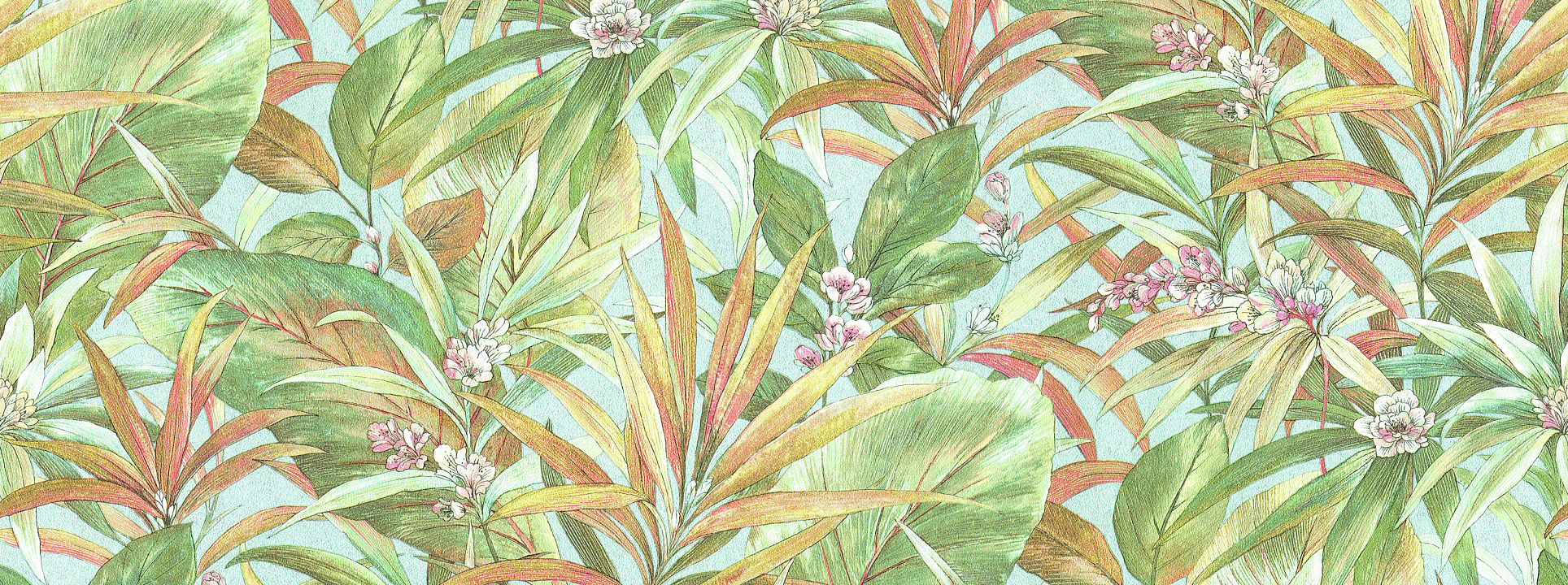 Изображение Alessandro Allori Берти 15047-4