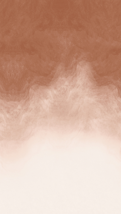 79216-4 Панно AS Creation 159*280, Облачная вуаль терракот