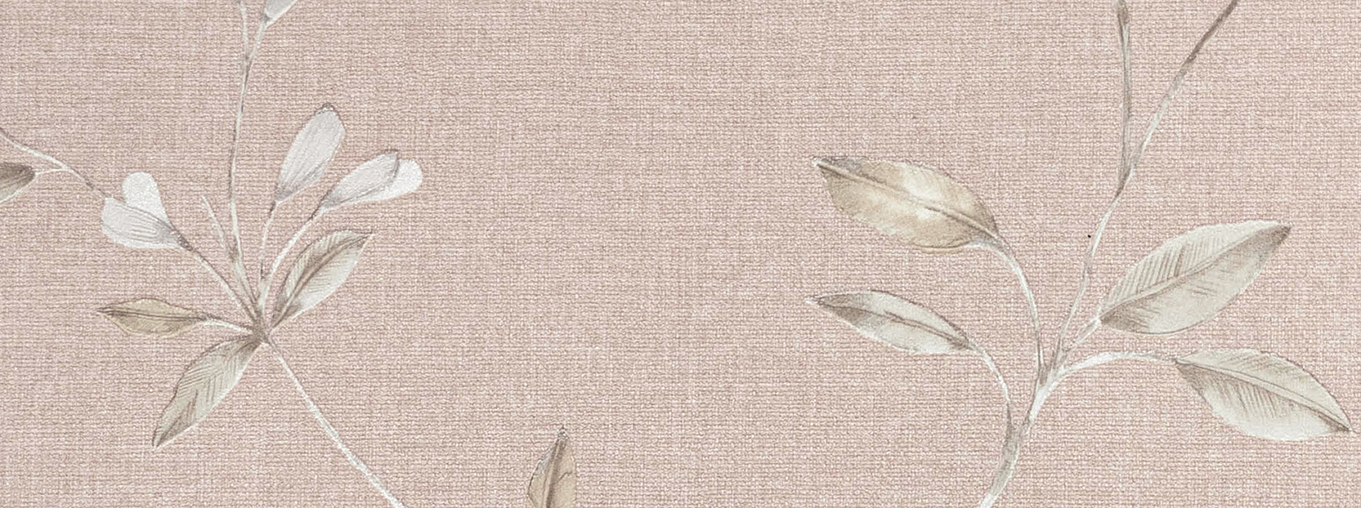 Изображение Alessandro Allori Росса 15020-5