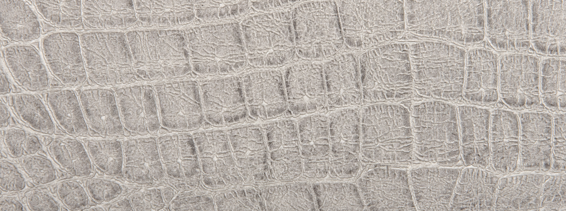 Изображение Rasch African Queen III 751338