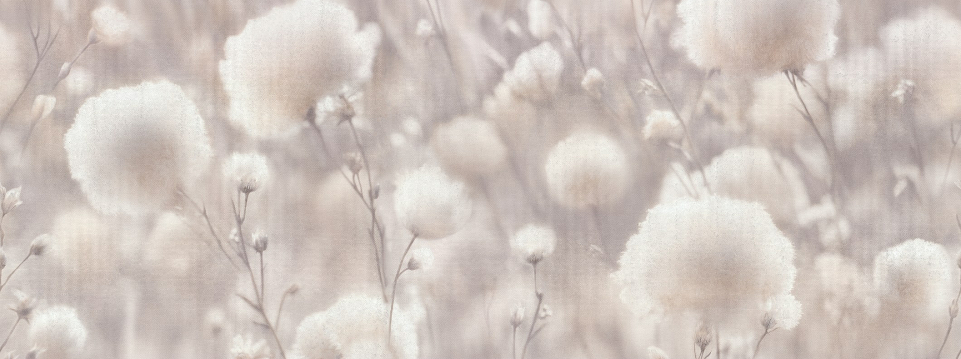 Изображение Палитра Cottonia 72543-22